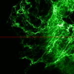 20 Aniversario del Festival LEV