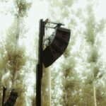 El festival Rizomes une un año más música, arquitectura efímera y artes visuales